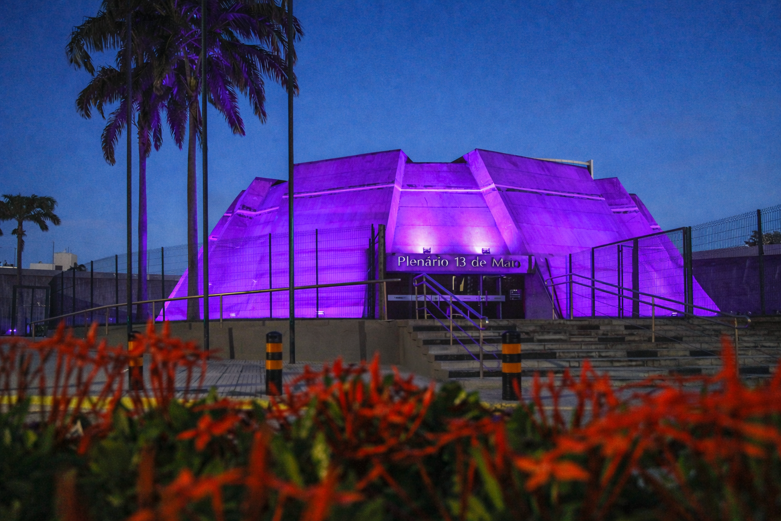 Alece ilumina prédios de roxo e apoia campanha de conscientização sobre doenças crônicas