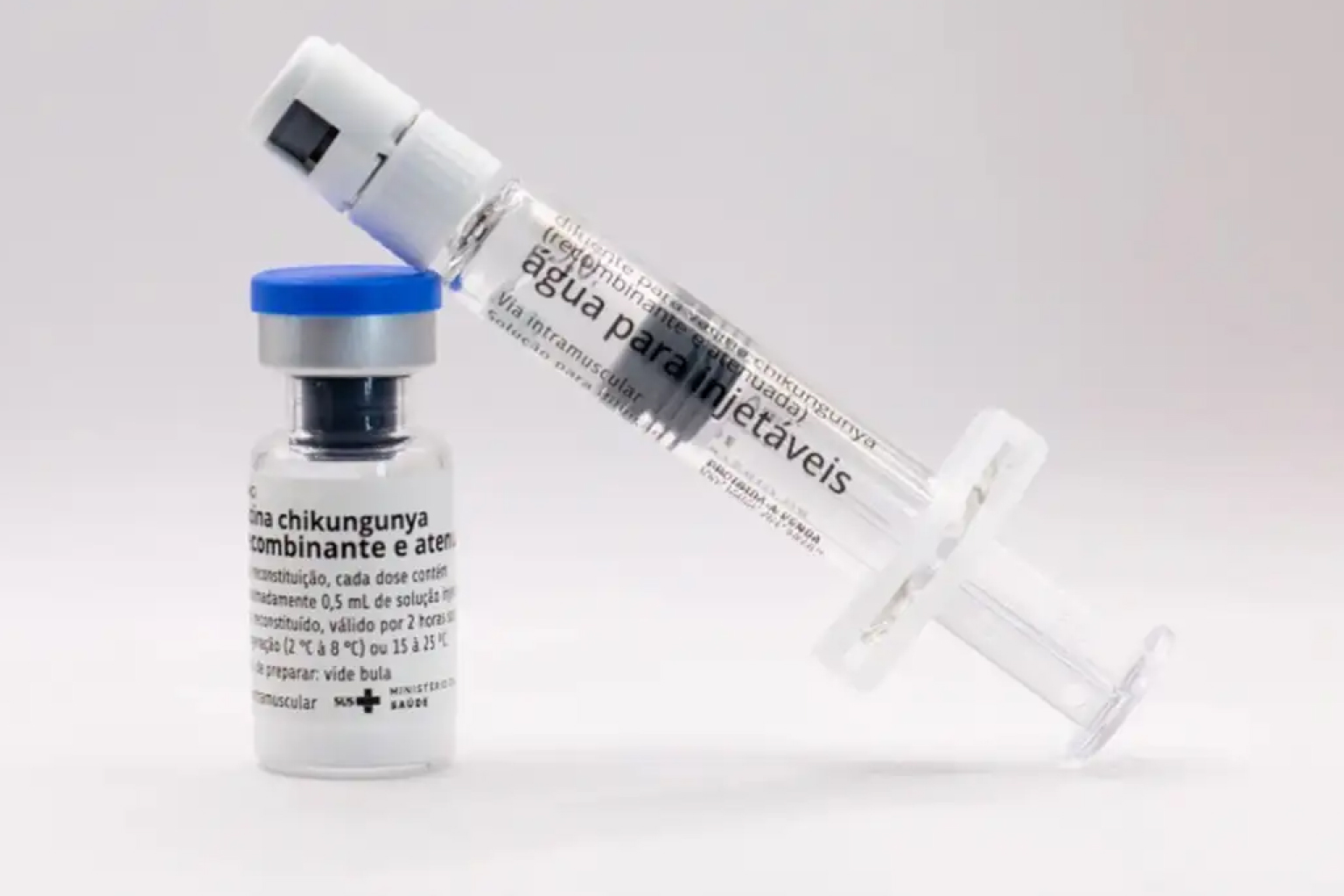 Anvisa autoriza Butantan a produzir vacina nacional contra chikungunya para o SUS