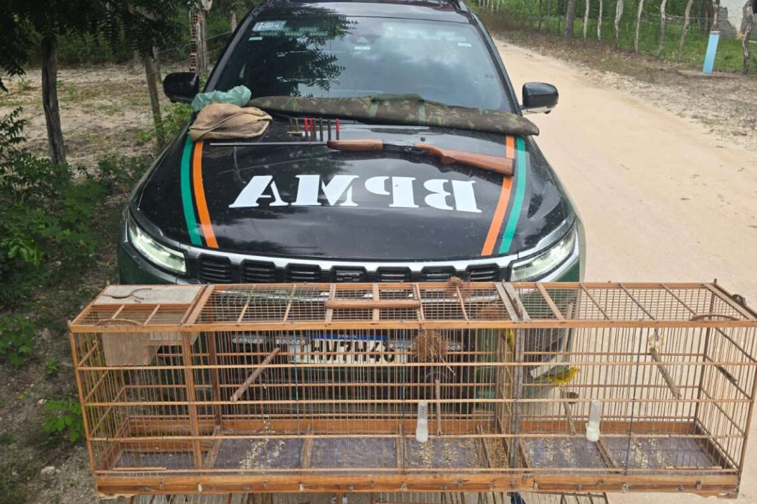 PMCE apreende aves silvestres e arma de fogo durante Operação Biomas em Acaraú