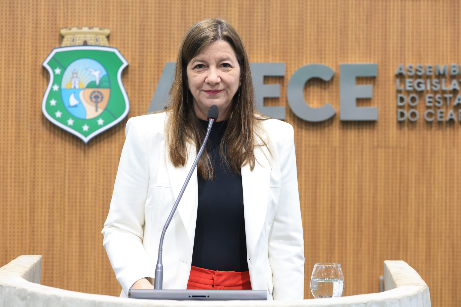 Lia Gomes defende reeleição de Cid ao Senado e Elmano quer definir chapa majoritária até 4 de julho