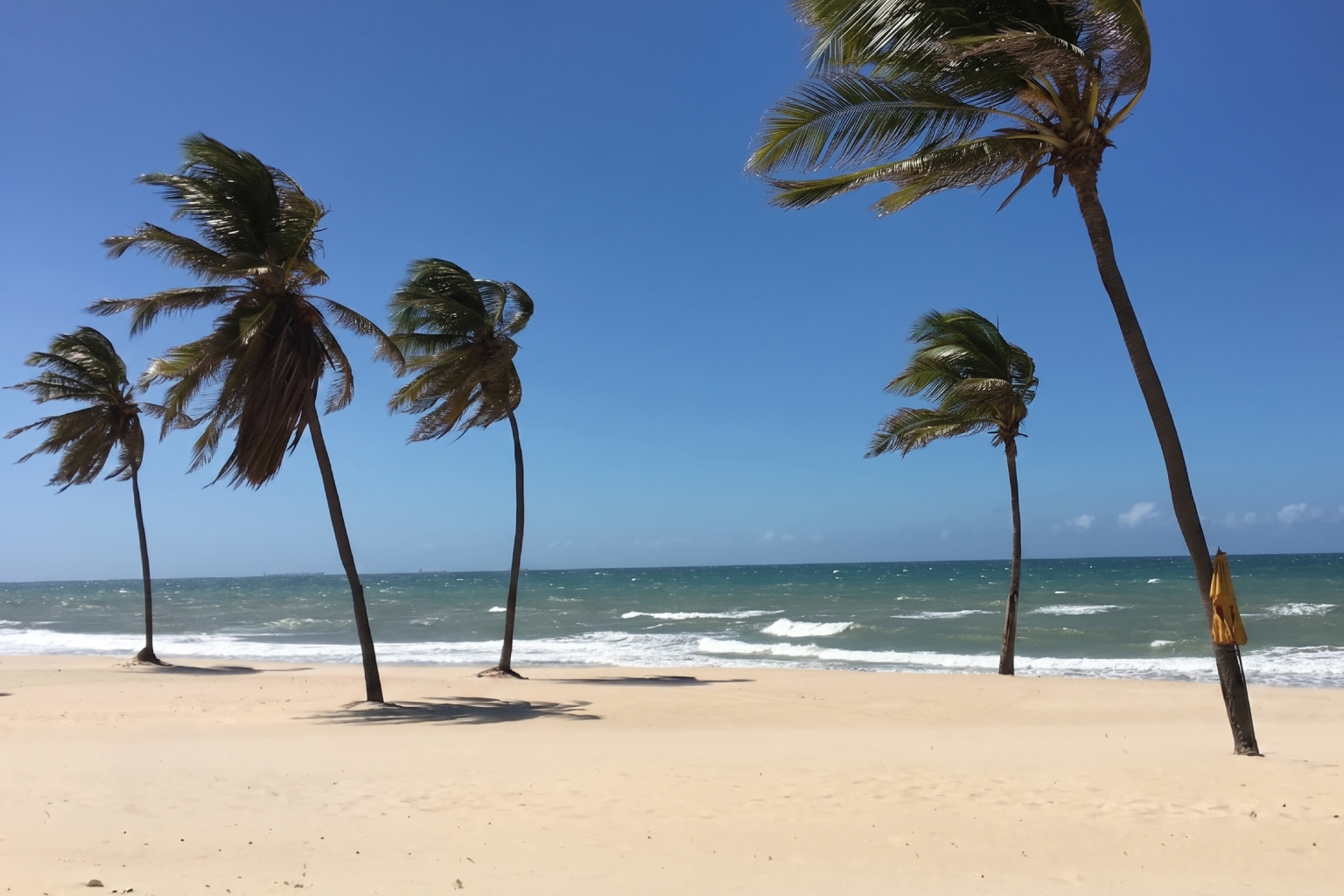 Inmet mantém alerta de vendaval no Ceará com ventos de até 60 km/h válido até esta sexta (17)