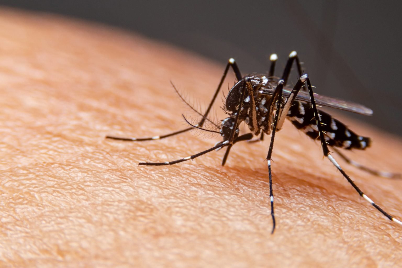Dengue dispara no Ceará em 2026 e casos confirmados sobem 172,7%