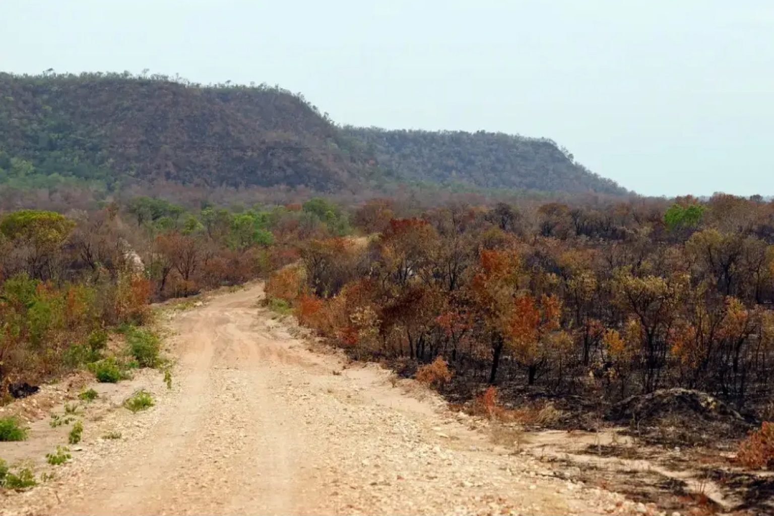 Cagece orienta consumo consciente de água no Ceará com chegada do El Niño
