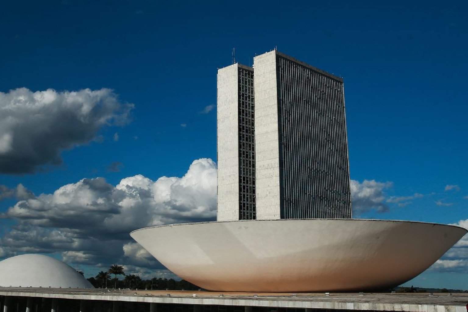 Veja quem são os 22 deputados federais eleitos no Ceará