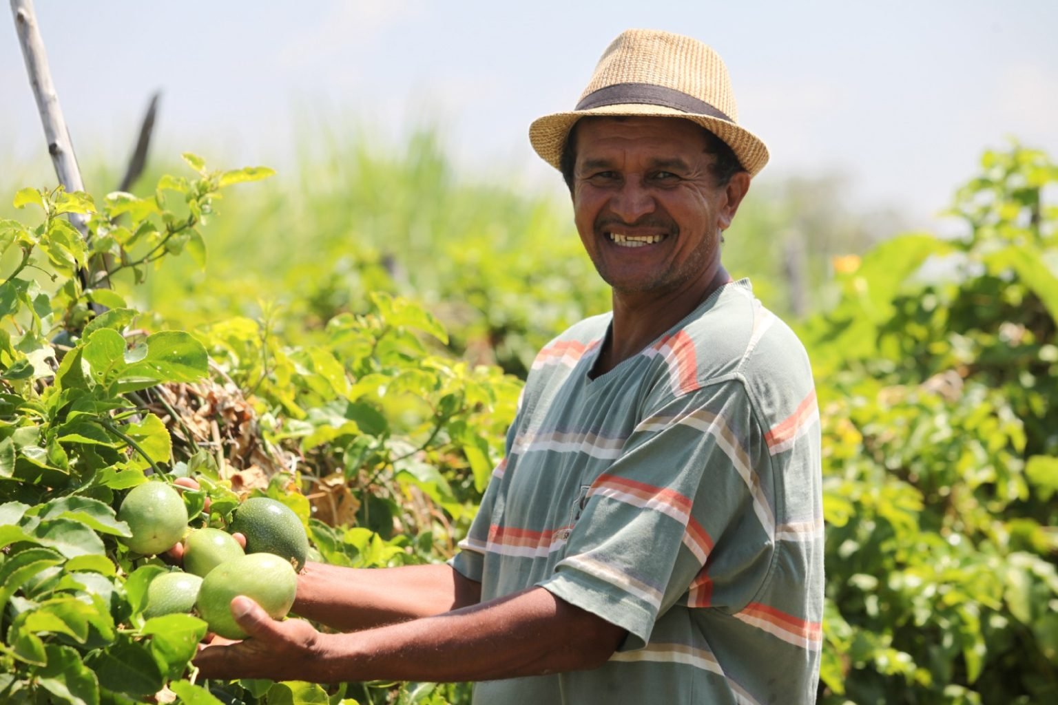 Órgãos públicos do Ceará contratam R$ 980 mil de MEIs e agricultores